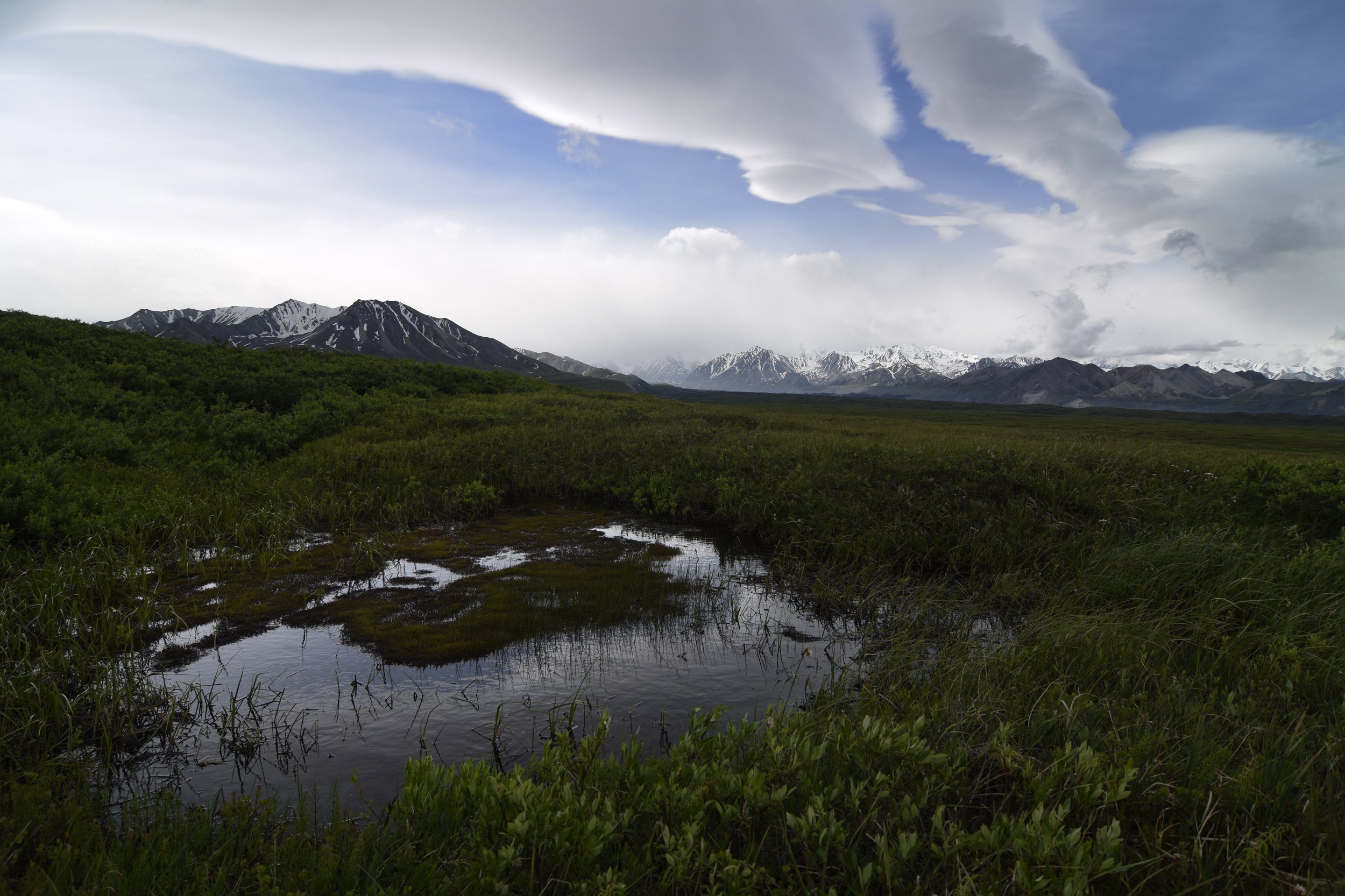 Tundra with cloud formations