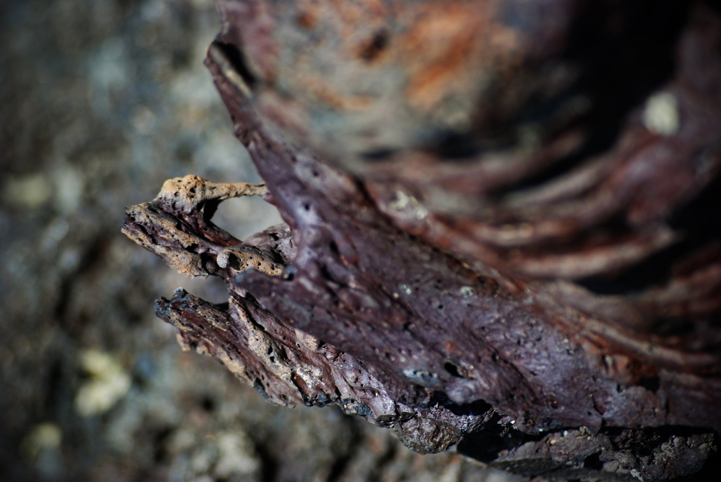 Red volcanic rock