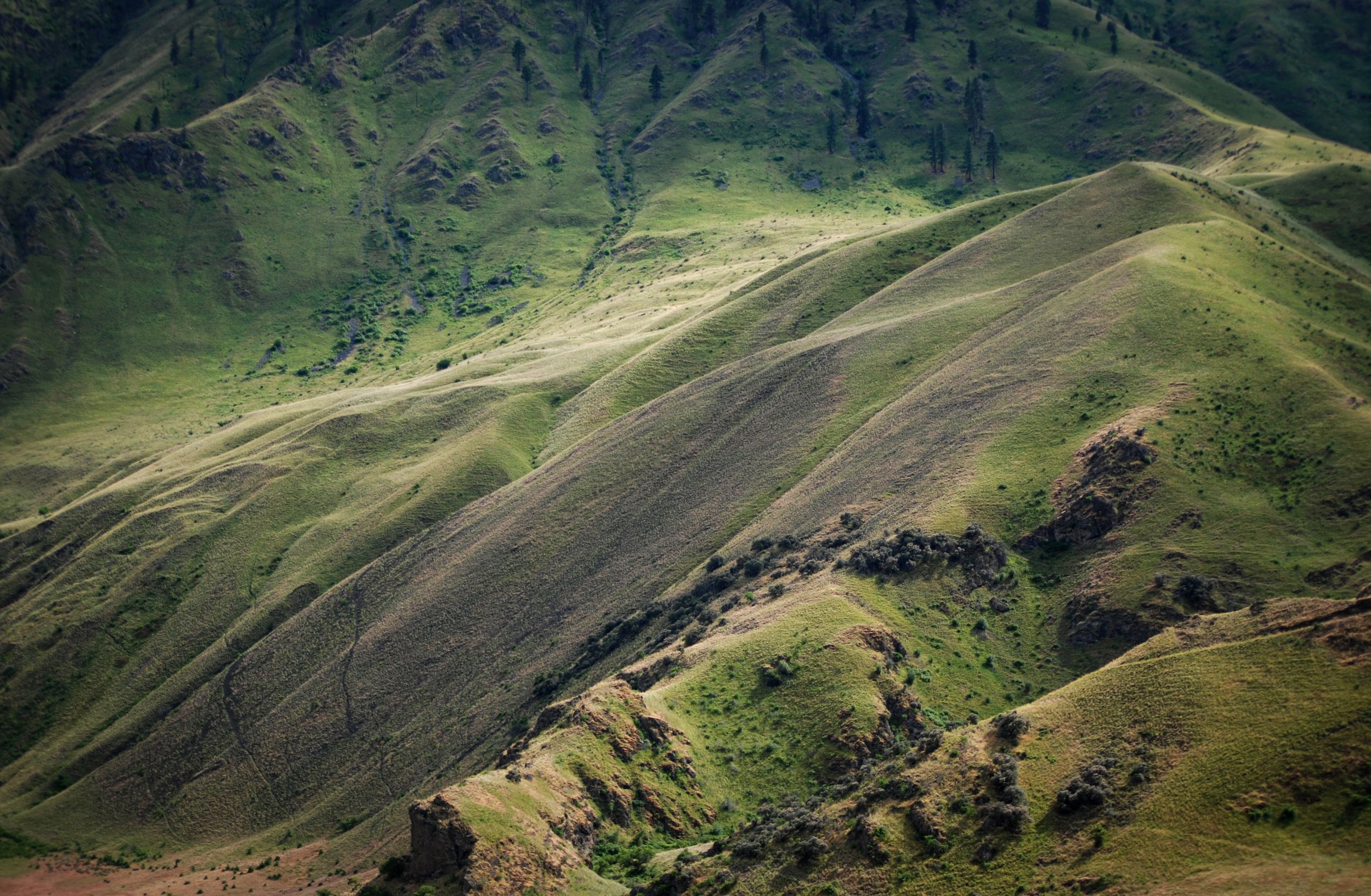 Erosional hills in Hells Canyon