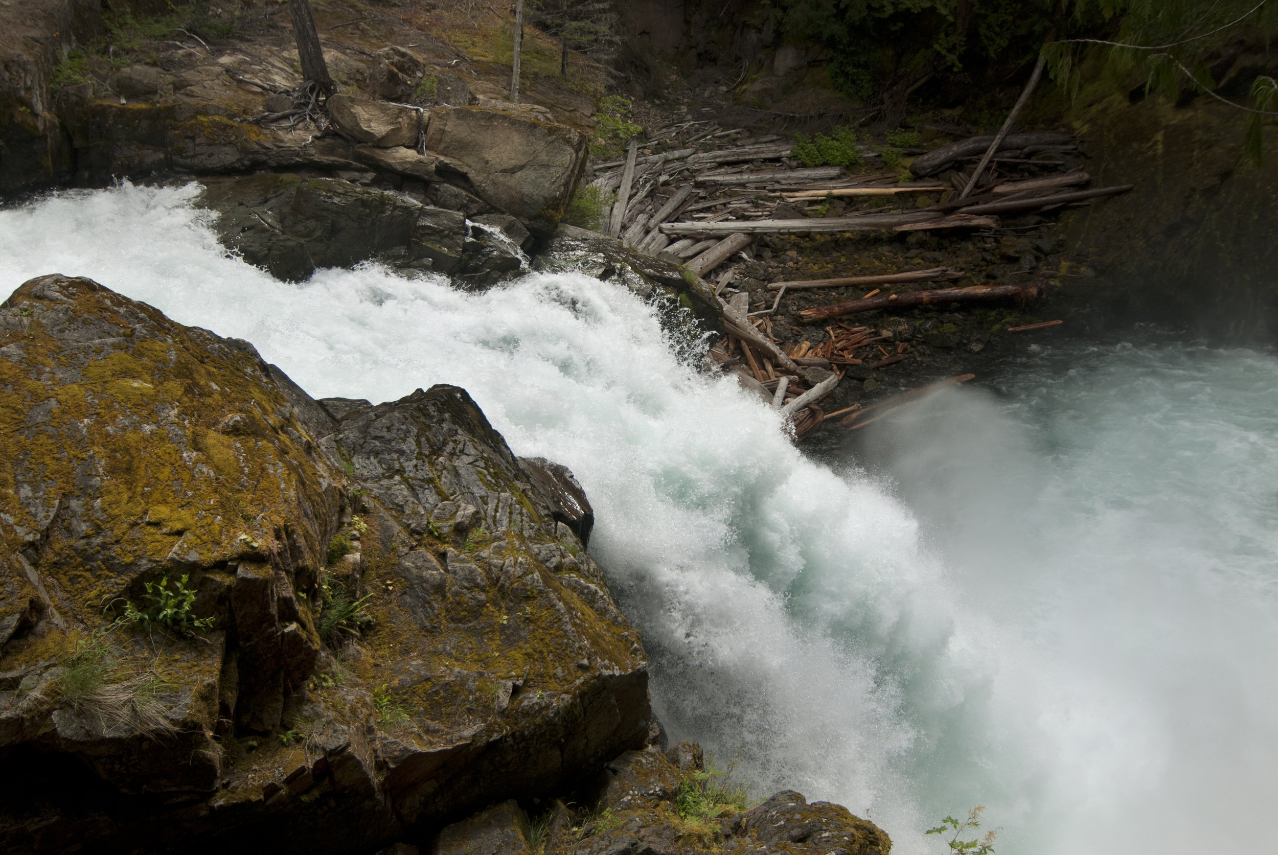 Ohanapecosh river near Silver Falls